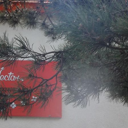 Nectar Hotel Dilijan Eksteriør bilde