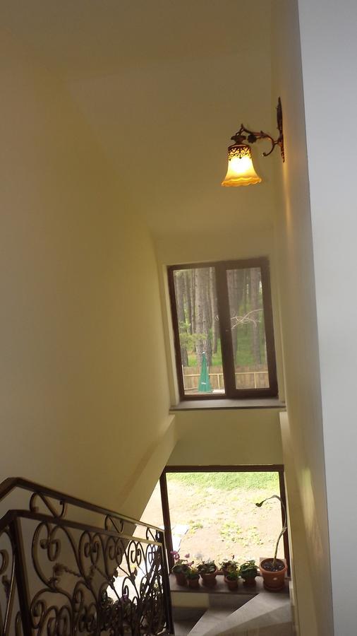Nectar Hotel Dilijan Eksteriør bilde